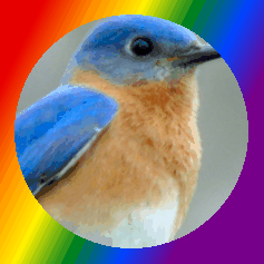 hnb